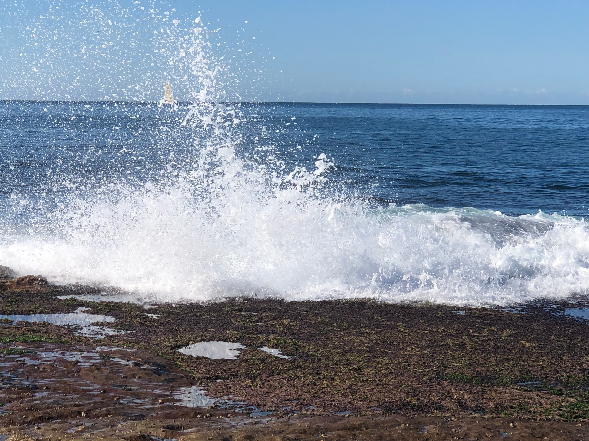 A wave breaking hard over the rock shelf at Pearl Beach, spray catching the sunlight with a distant sail on the horizon
