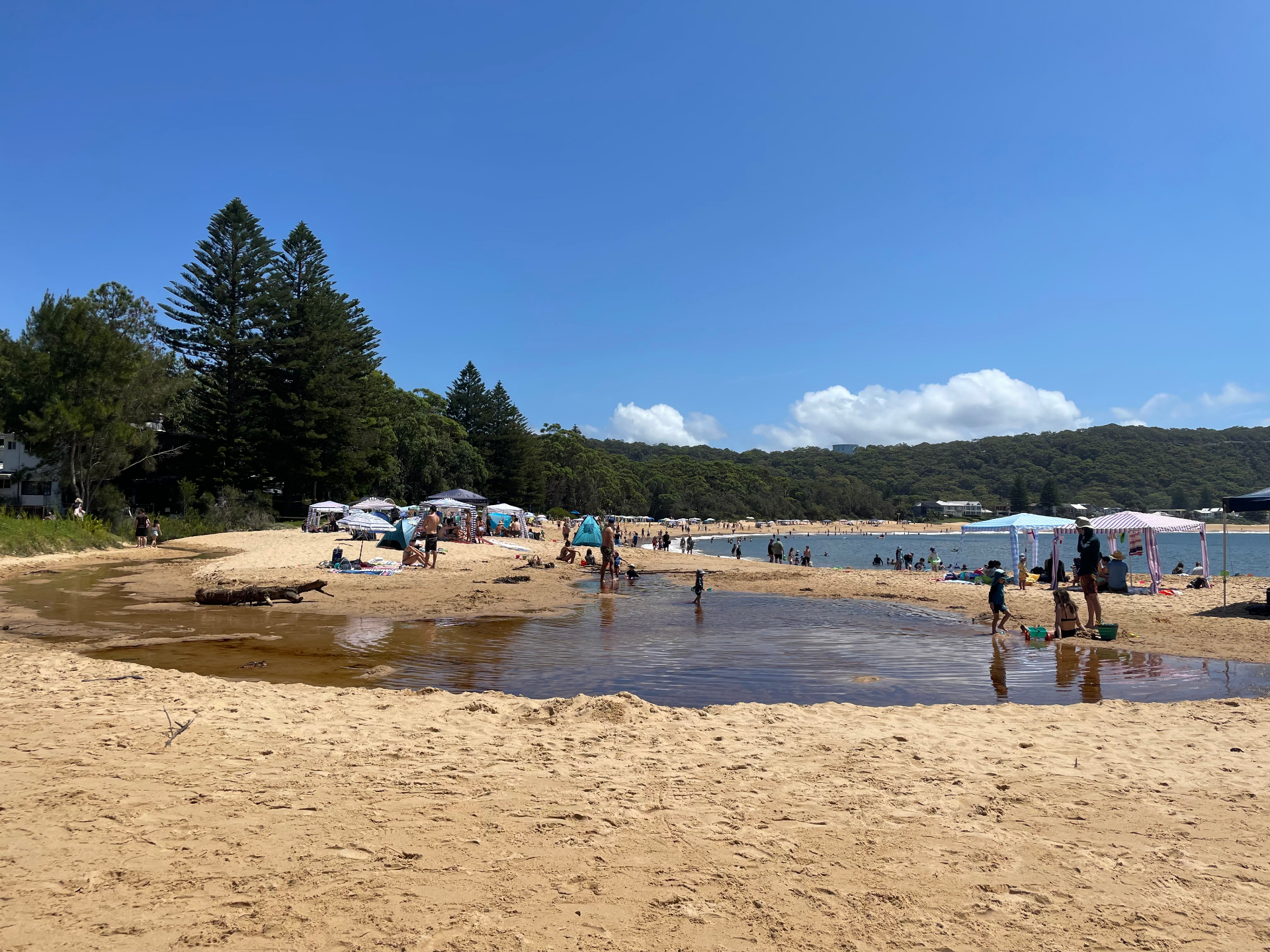 Pearl Beach lagoon on a summer afternoon — families under cabanas along the sand with the headland bushland behind